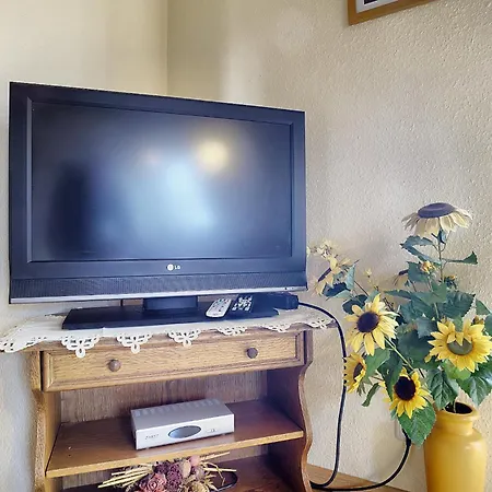 Schaefer, Renate Fw 1 Zingst